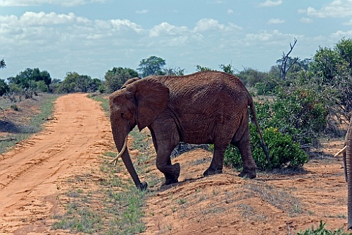 Kenia (295)